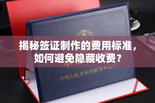 白玉揭秘签证制作的费用标准，如何避免隐藏收费？