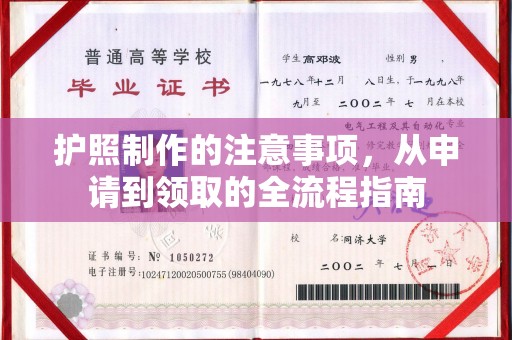 白玉护照制作的注意事项，从申请到领取的全流程指南