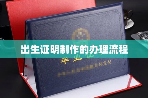 白玉出生证明制作的办理流程