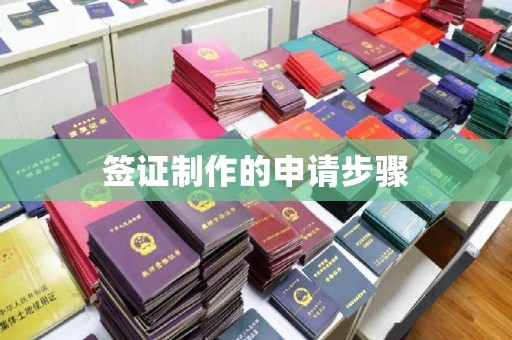 白玉签证制作的申请步骤