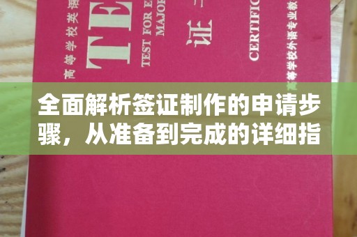 白玉全面解析签证制作的申请步骤，从准备到完成的详细指南