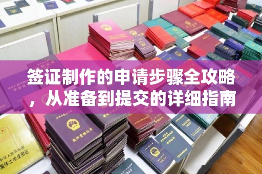 白玉签证制作的申请步骤全攻略，从准备到提交的详细指南